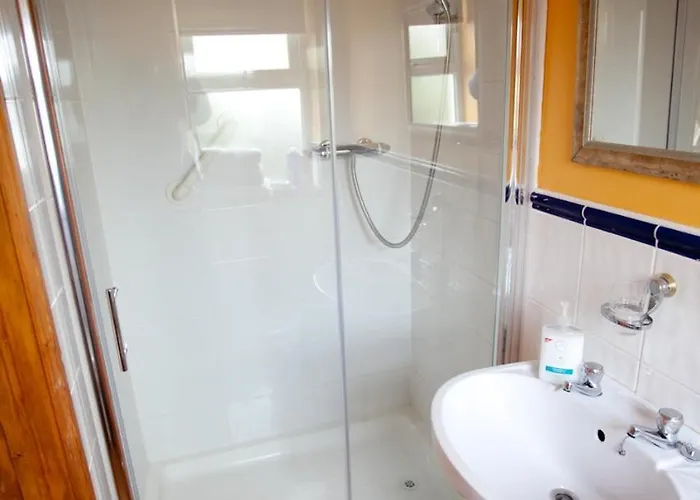 Couette-café Evergreen Swords